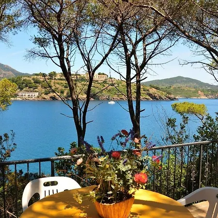Rodriguez Capoliveri (Isola d'Elba)