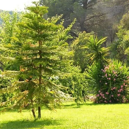 Rodriguez Hotel Capoliveri (Isola d'Elba)
